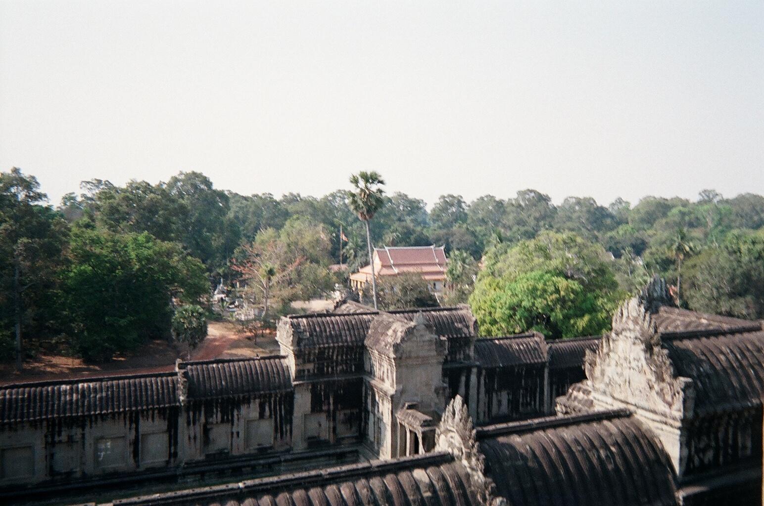 A view from the top.jpg